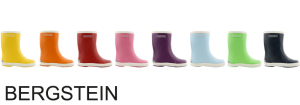 Banner_Bergstein